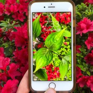 📱PERFECT CONDITION IPHONE 6S WITH 2 FREE CASES📱